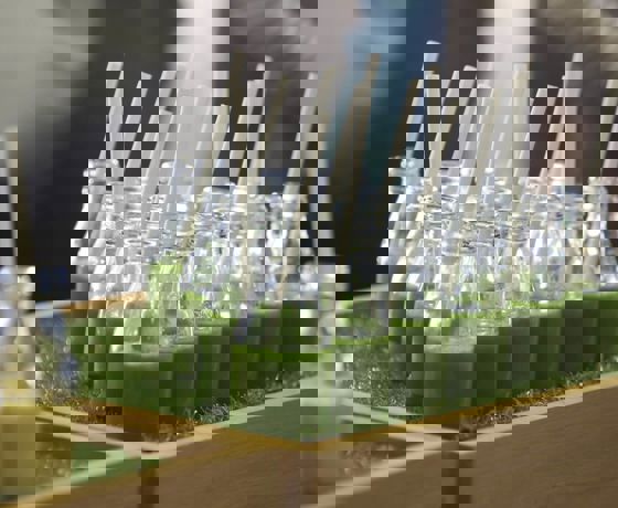 What's on imagery.jpeg